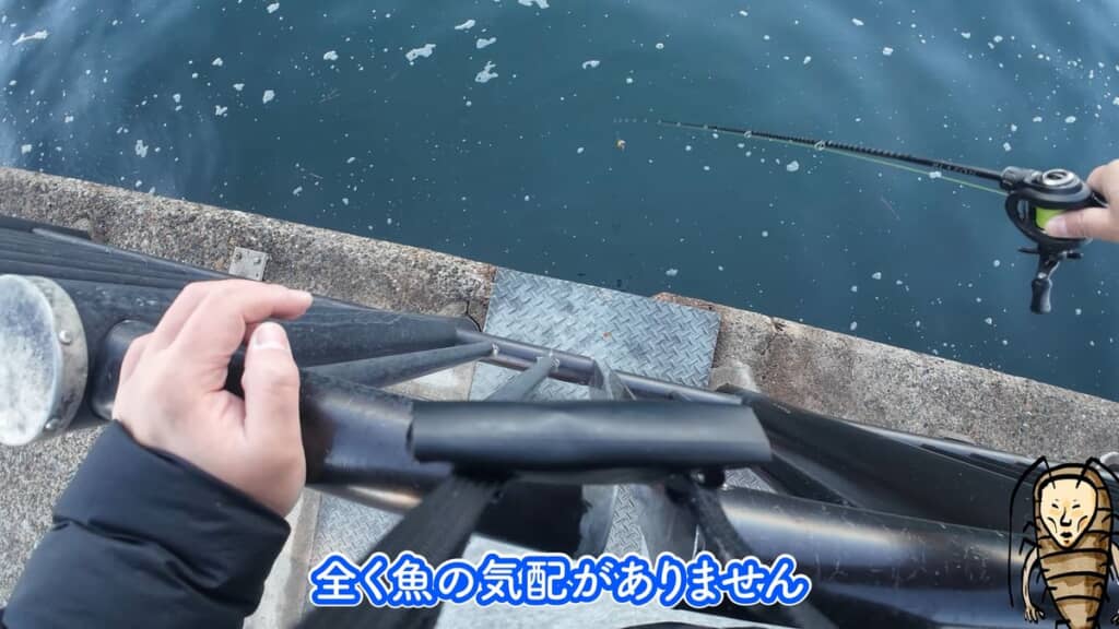 カサゴを狙って釣りをするも魚の気配がない