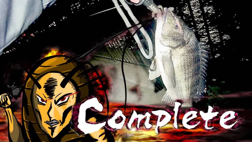 釣り上げたクロダイ