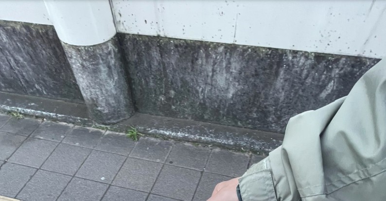 気分を上げるものを買いに行ったできたさん