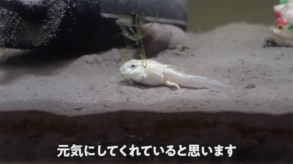 この先も元気で過ごせますように