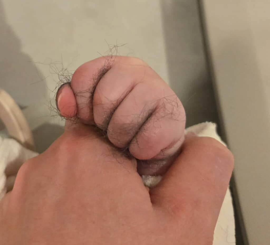 ミニゴリラちゃんの手になっていました