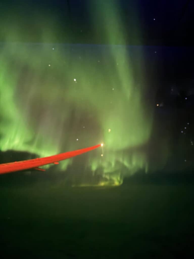 まさに薄絹のようなカーテン