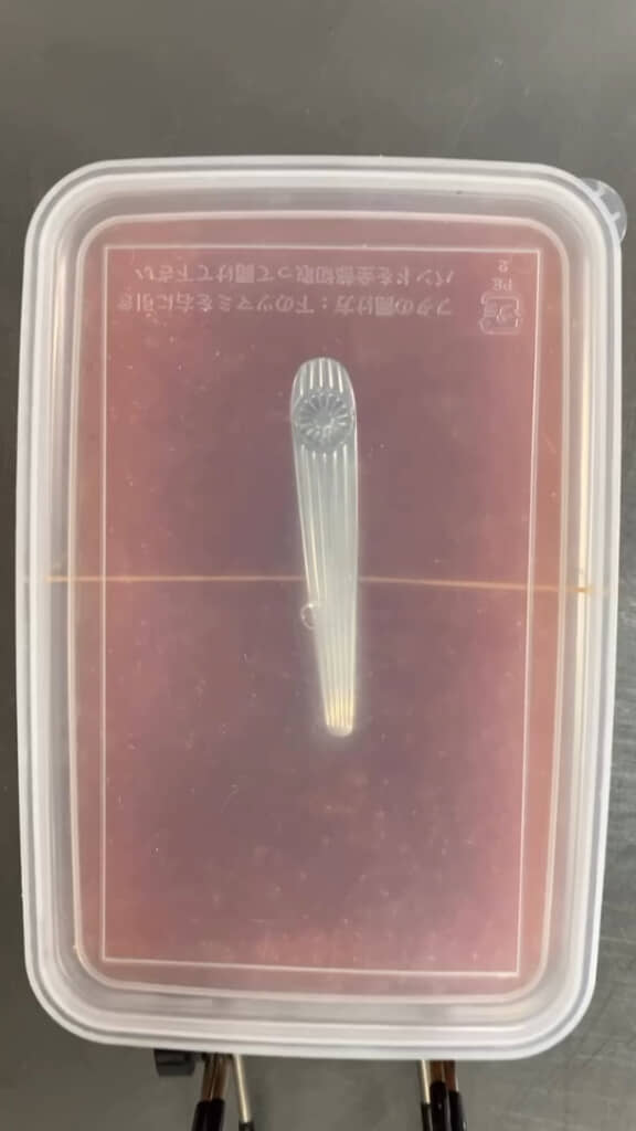 フタも閉められる（※フタが閉まるかは保存容器によります）