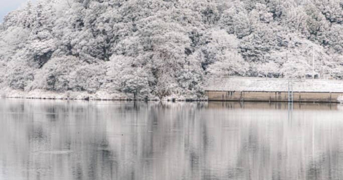 愛知県にある「国宝」→雪が降り積もり……　めったに撮れない“貴重な1枚”に「やっばっ」「最高すぎ」（1/2） | 写真 ねとらぼ