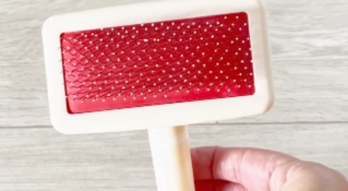 フリースにダイソーのペット用ブラシを使ったら……「すっごい！」「やってみよーっと」驚きの裏ワザが140万再生（1/3） | ライフハック ねとらぼ