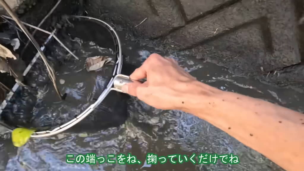 水路の端のほうを網ですくうと……