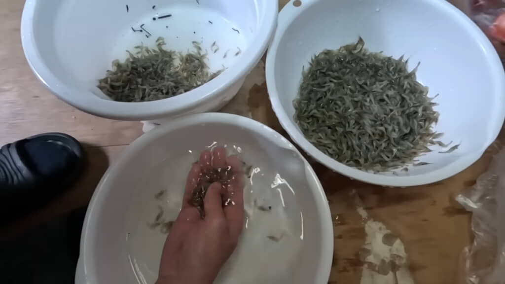 ていねいに水洗いする