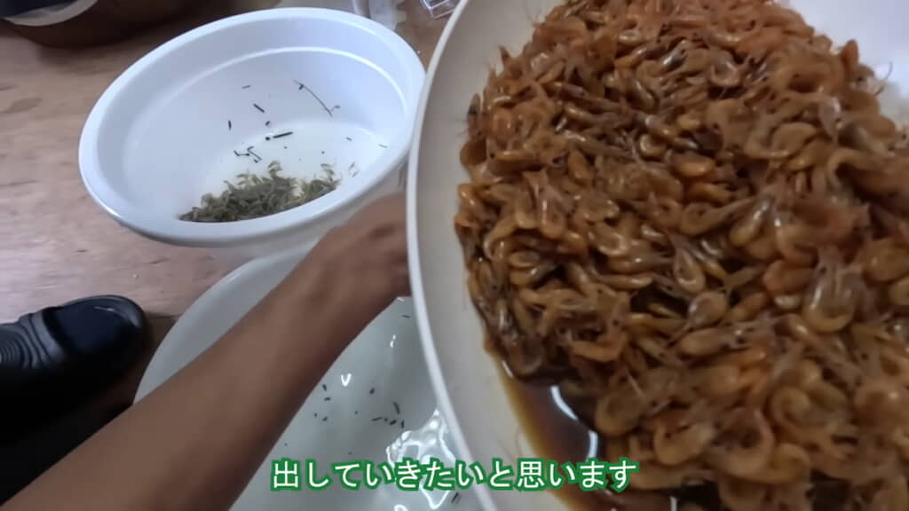 佃煮にするとこんな感じ