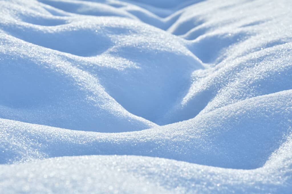 積もった雪の写真
