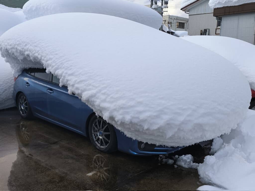 車体前方を覆いつつ、側面と背面は車体がよく見える積もり方
