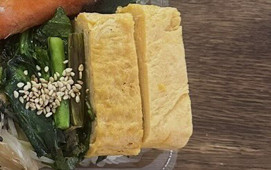 駅弁に負けじと作られた海苔弁……いや、海苔どこ？