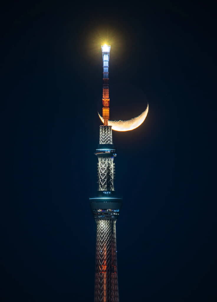 月の凸凹にも注目