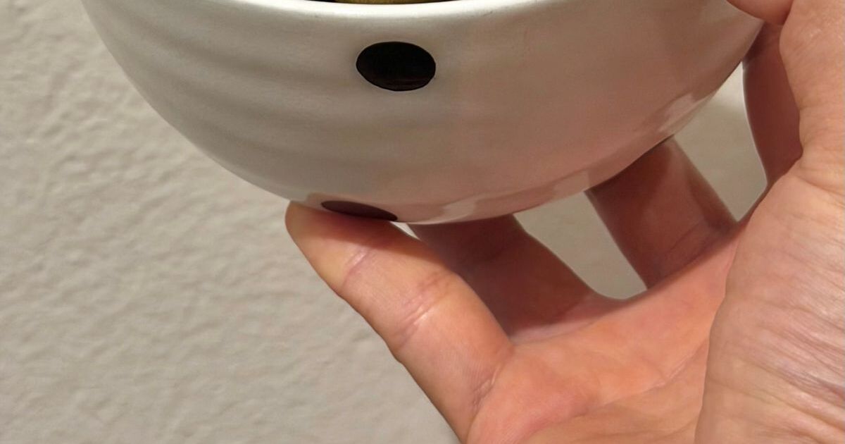 コストコへ行った友人「おすそ分け！」→開けてみると……　まさかの中身に「神すぎる」「初めて知った」と216万表示 | ライフスタイル ねとらぼ