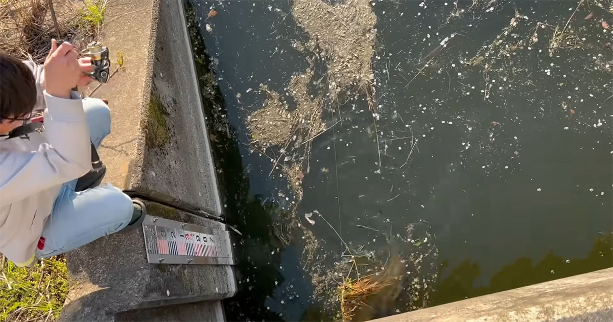 釣り中の友人から突然「助けて！」→駆け付けると……　とんでもない光景に「迫力エグい」「凄い大きさ」（1/3） | その他生き物 ねとらぼ