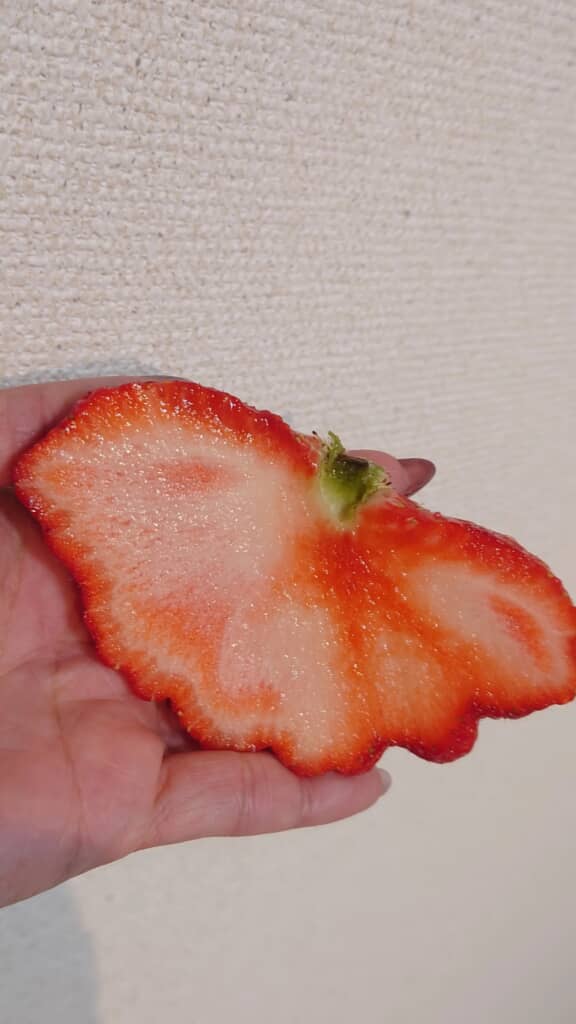 形はいびつだけど、すごくおいしそう！