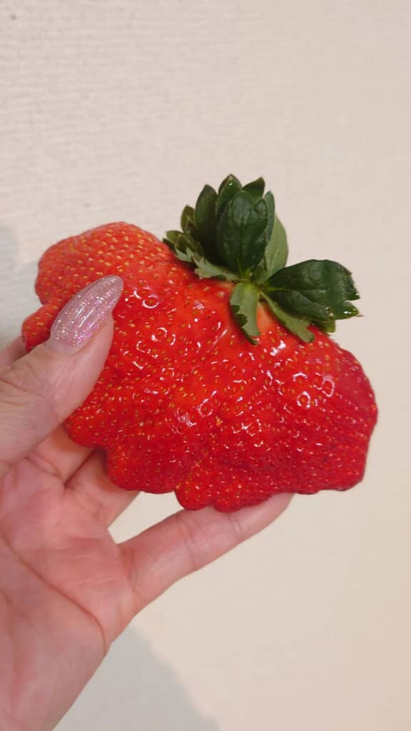 イチゴ何個分の大きさ!?