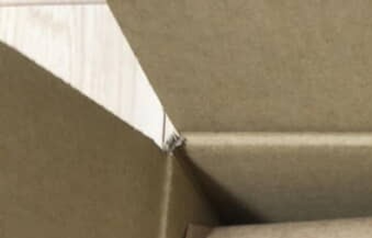 母から届いた段ボール1箱→開けてみると……　胸がぎゅっとなる光景に「涙出る」「亡くなった母を思い出します」（1/3） | 教育・子育て ねとらぼ