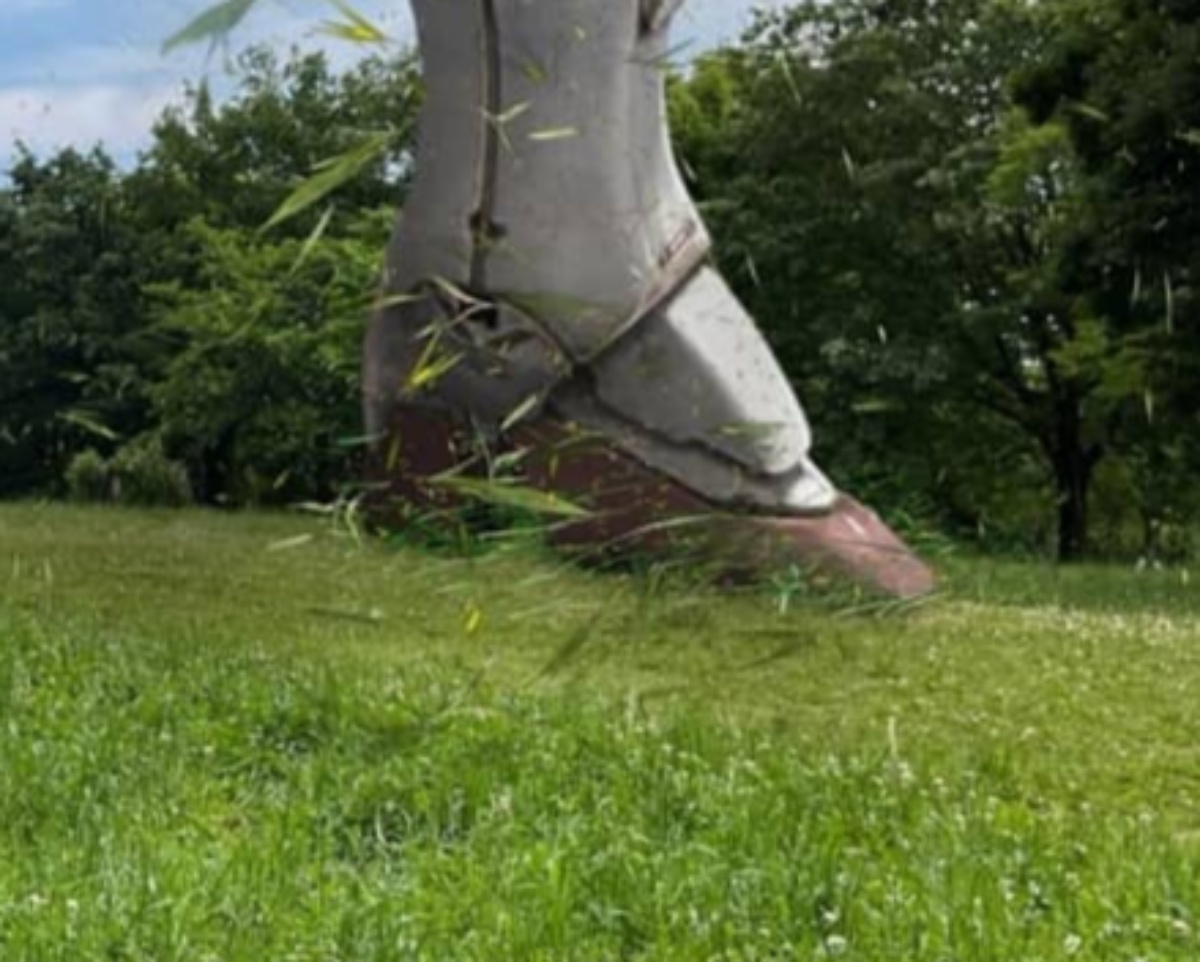 ガンプラとコスプレ写真を組み合わせると……　次元を超えた“前代未聞の作品”に称賛「名画の雰囲気」「ホント凄いですよ」（1/3） | ライフスタイル ねとらぼ