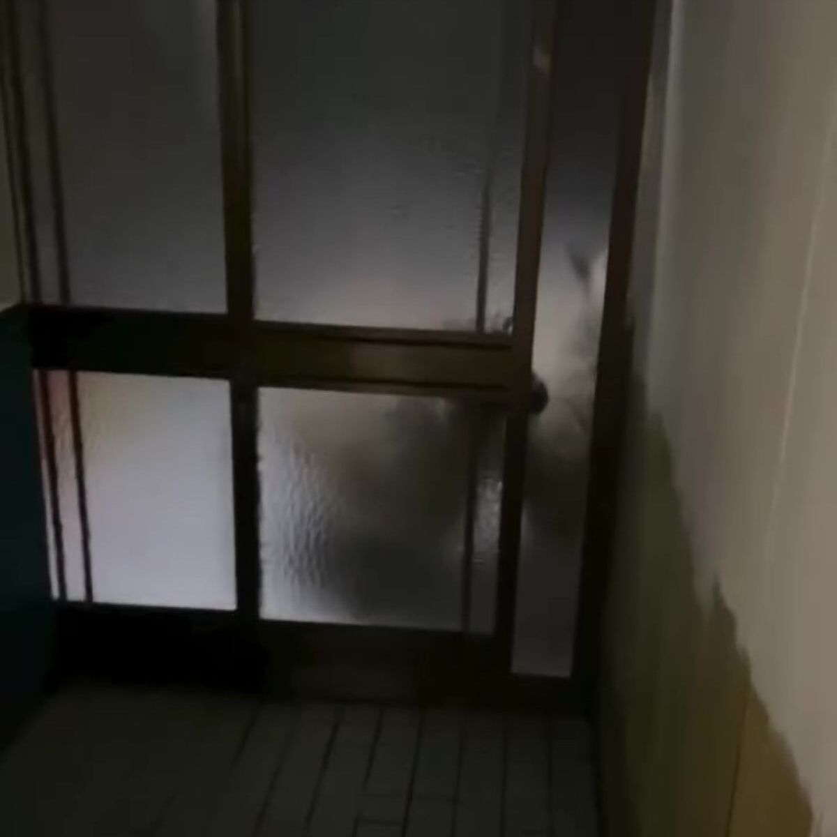 夜、玄関で呼び鈴が鳴り→ドアを開けると……　まさかの訪問者に「ちょっと信じられない」「予想よりデカいヤツだった」と591万再生 | ライフスタイル ねとらぼ