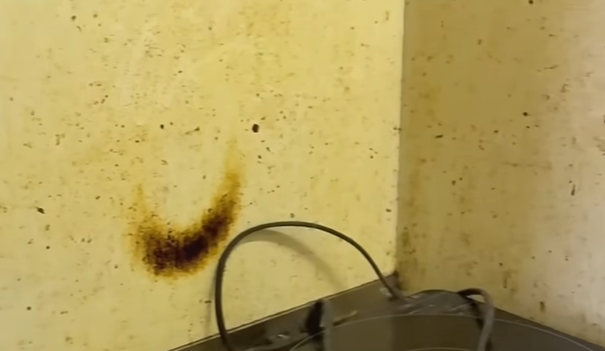 「ここ人が住んでたんだよね!?」衝撃的なアパートのキッチン→二級建築士が本気を出すと…… 「どうしたらこんなになるの」(1/3) | リフォーム・リノベーション・DIY ねとらぼ