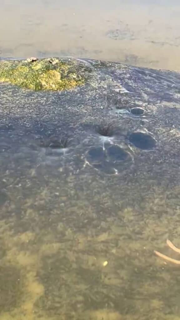 岩の辺りから生じた複数の渦と黒い丸