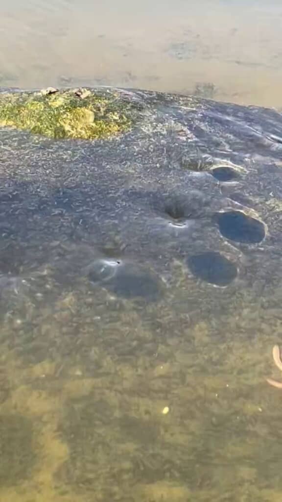 岩の辺りから生じては流れていく複数の渦と黒い丸