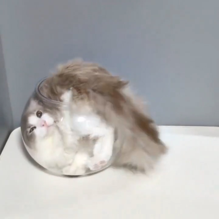 体をキレイに納めていきます