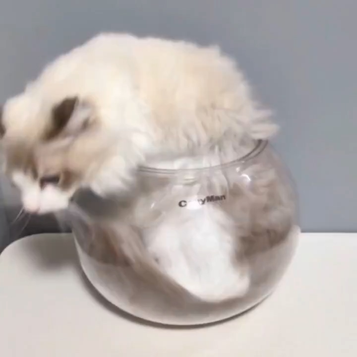 出るときには……