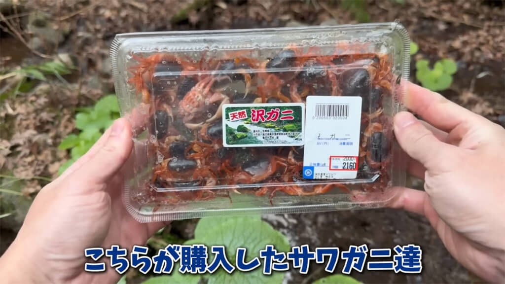 スーパーでパック詰めの生きたサワガニを購入