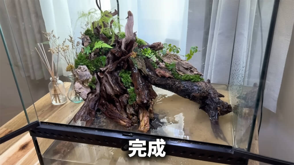 水が流れる水槽が完成しました