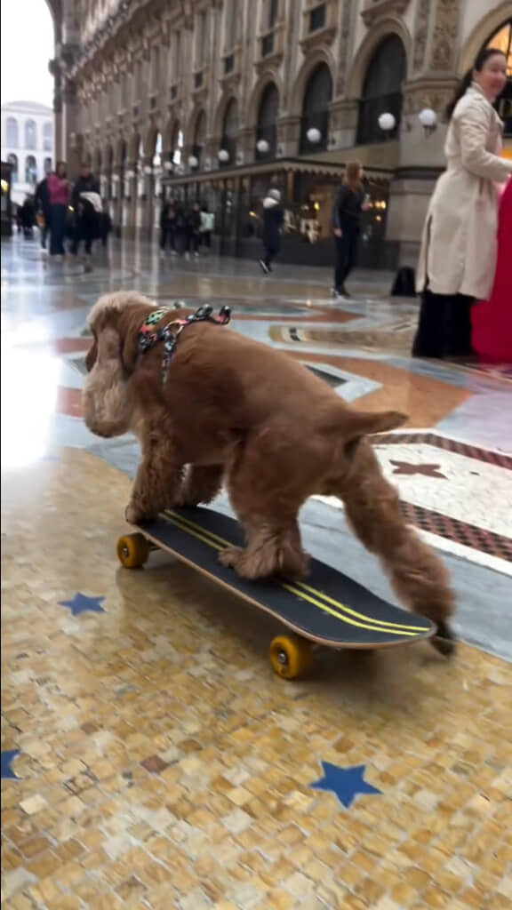 自分の足で漕いで進んでる!?