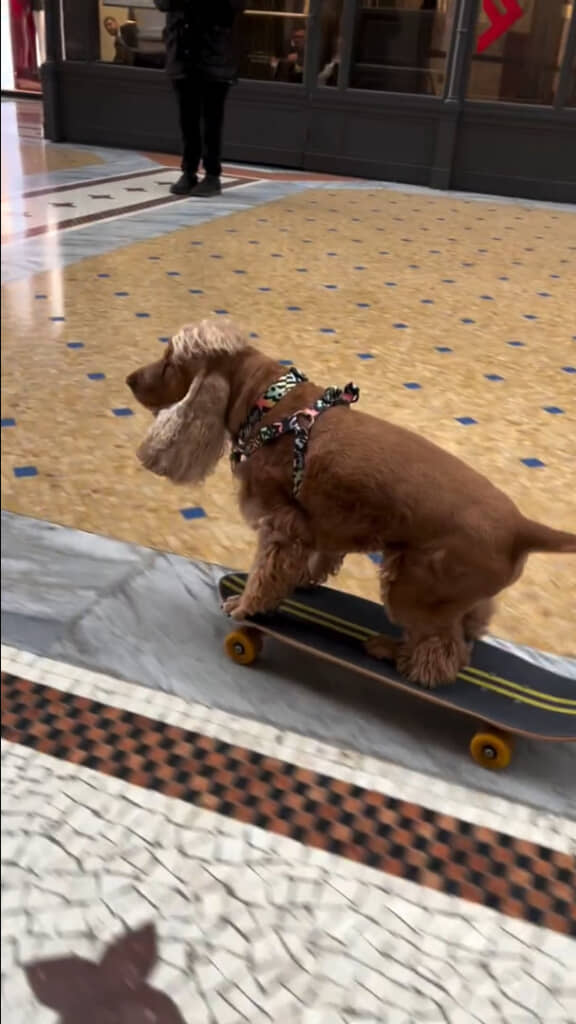 堂々とした姿に見惚れます