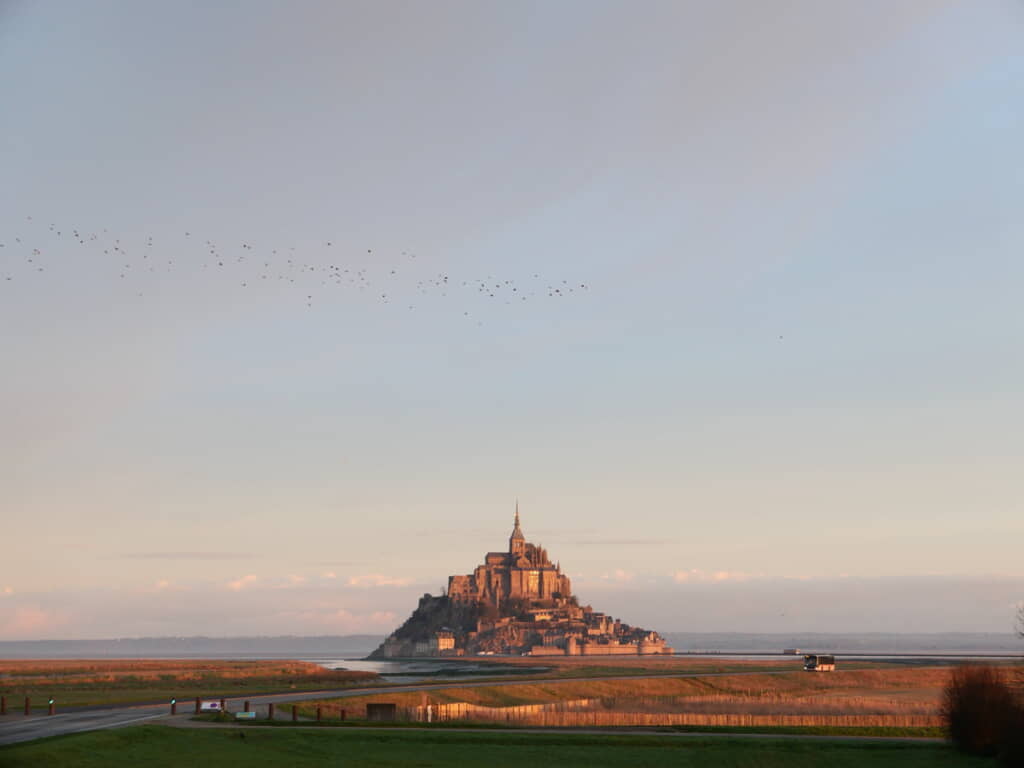 変化していく景色に目が奪われますね