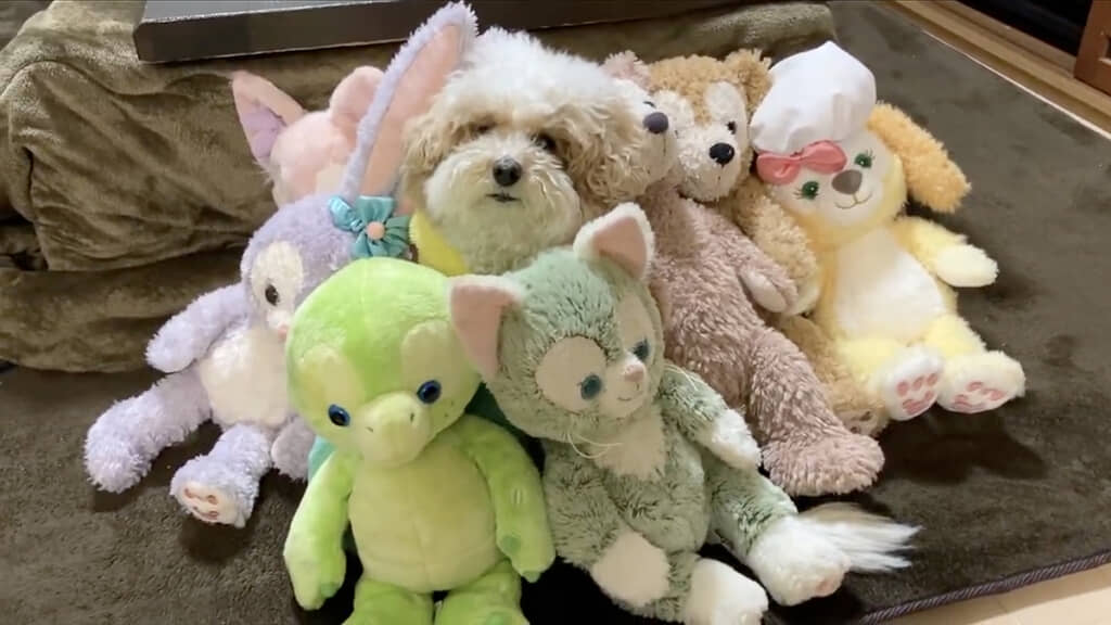 あれ？　真ん中に……