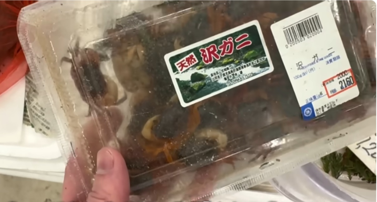 スーパーでパックのサワガニを購入→川と同じ環境で飼ってみたら…… 驚きの光景が100万再生「こ、これは」「凄すぎる」(1/3) | その他生き物 ねとらぼ