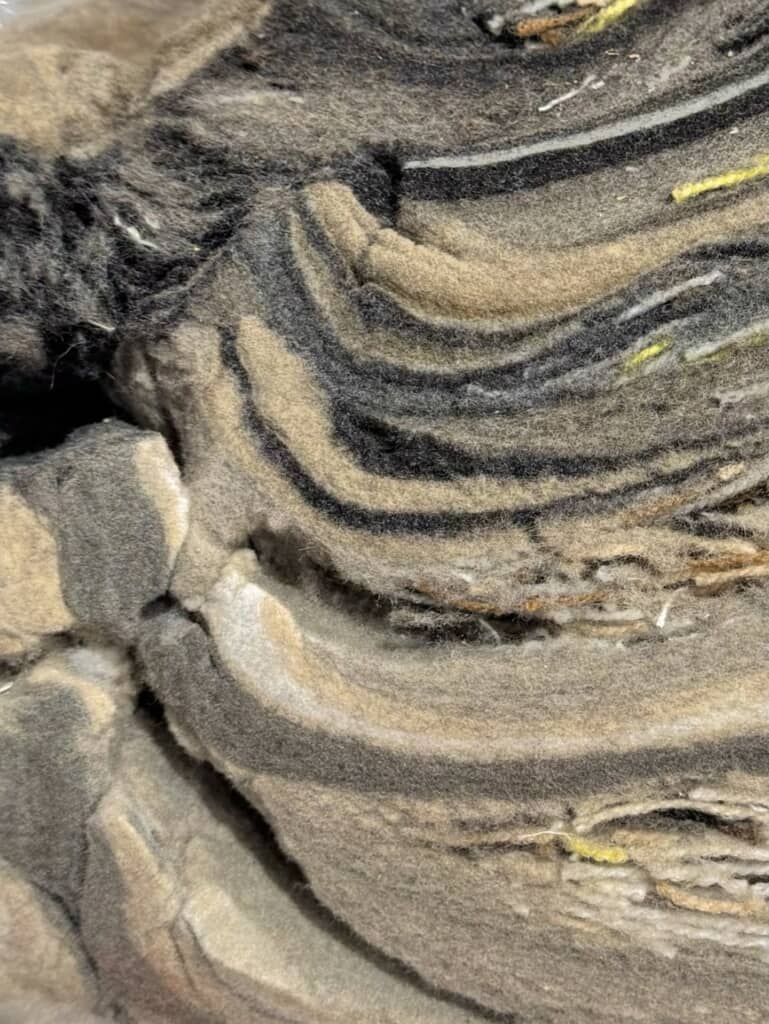 ラグ販売店の掃除機の中身