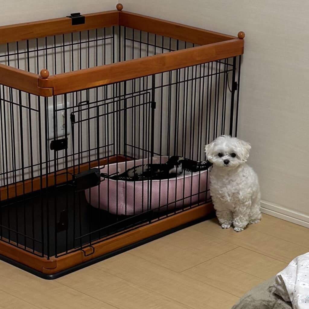 隅っこで律義に待つ姿が切ない……