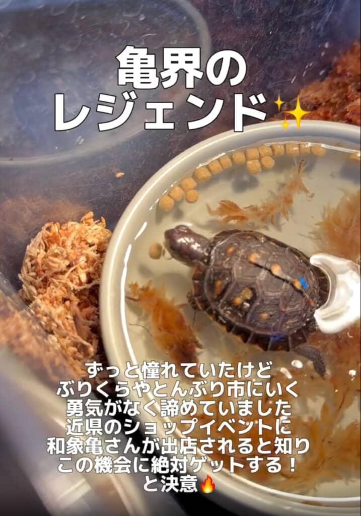 憧れの人からのお迎えでプレッシャーに