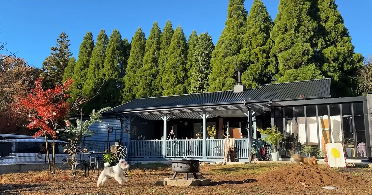 森の中に佇む“小さな家”→3年かけてリノベしたら…… 憧れの空間に「ひっくり返るくらいオシャレ」「素敵すぎてウットリ」(1/3) | リフォーム・リノベーション・DIY ねとらぼ