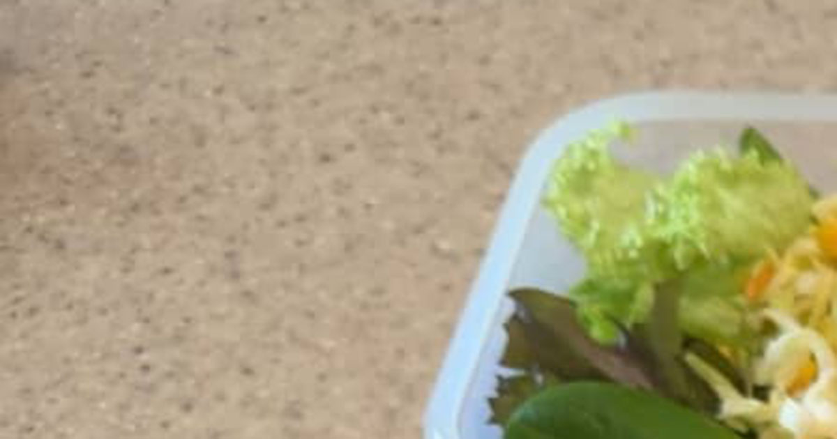 30代主婦「これで良いのか？　夫の弁当」→開けると……　「こんなん作ってくれたら泣くッ！」「旦那さんうらやましい」と142万表示（1/2） | グルメ ねとらぼ