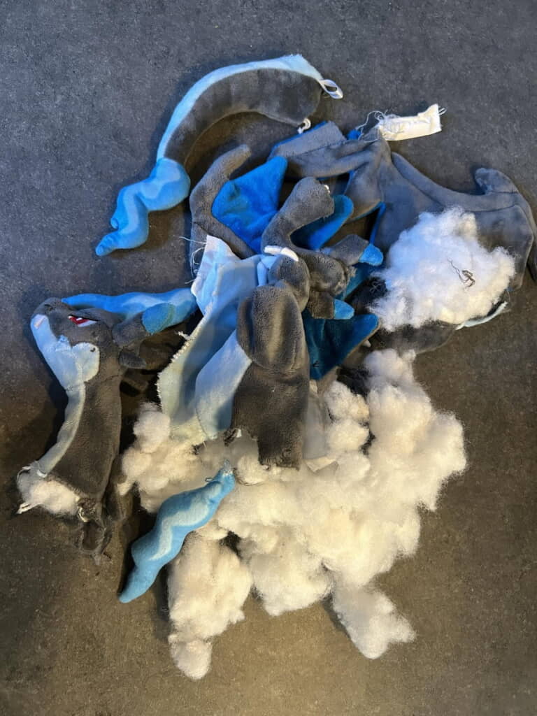 無残な姿となったメガリザードン