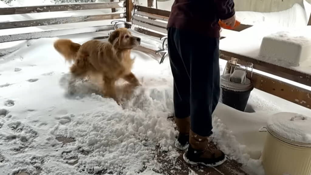 息子さんに「何してるの!?　遊ぶ!?」って言ってるみたい