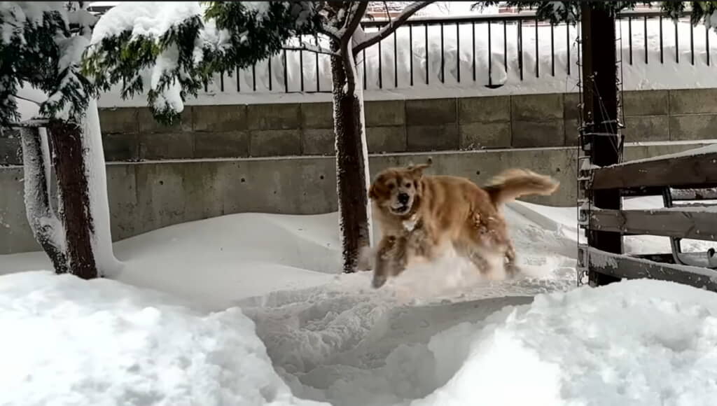 テンション最高潮