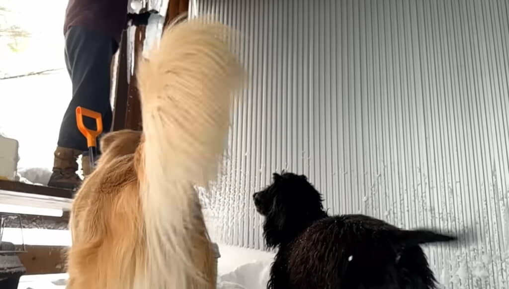 つららを待つふたり、かわいい