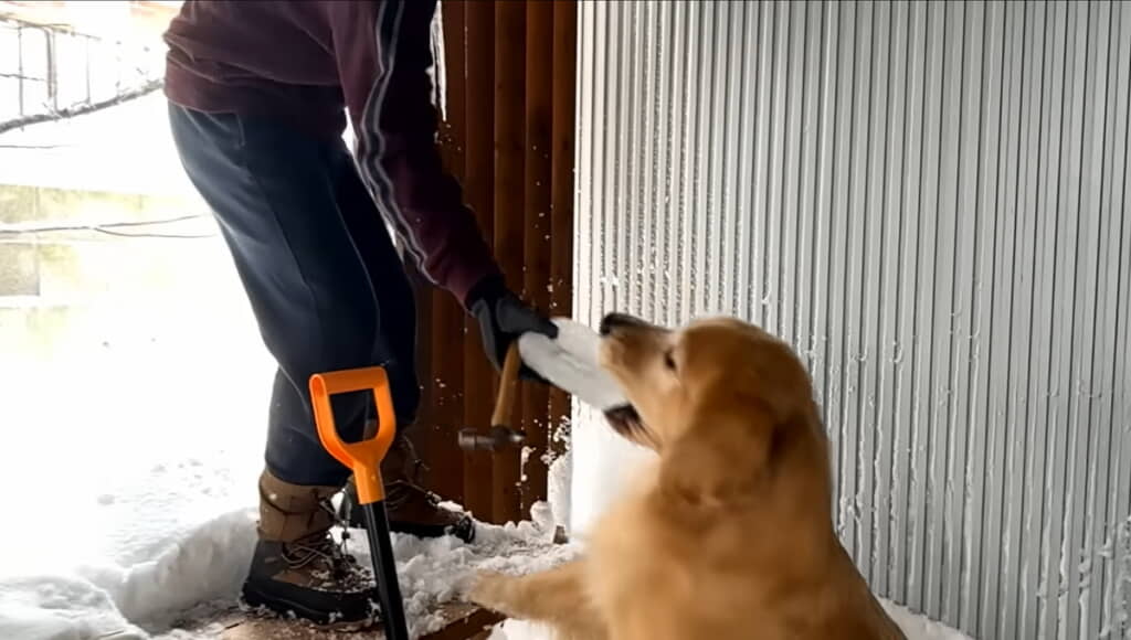 大きなつららをゲット