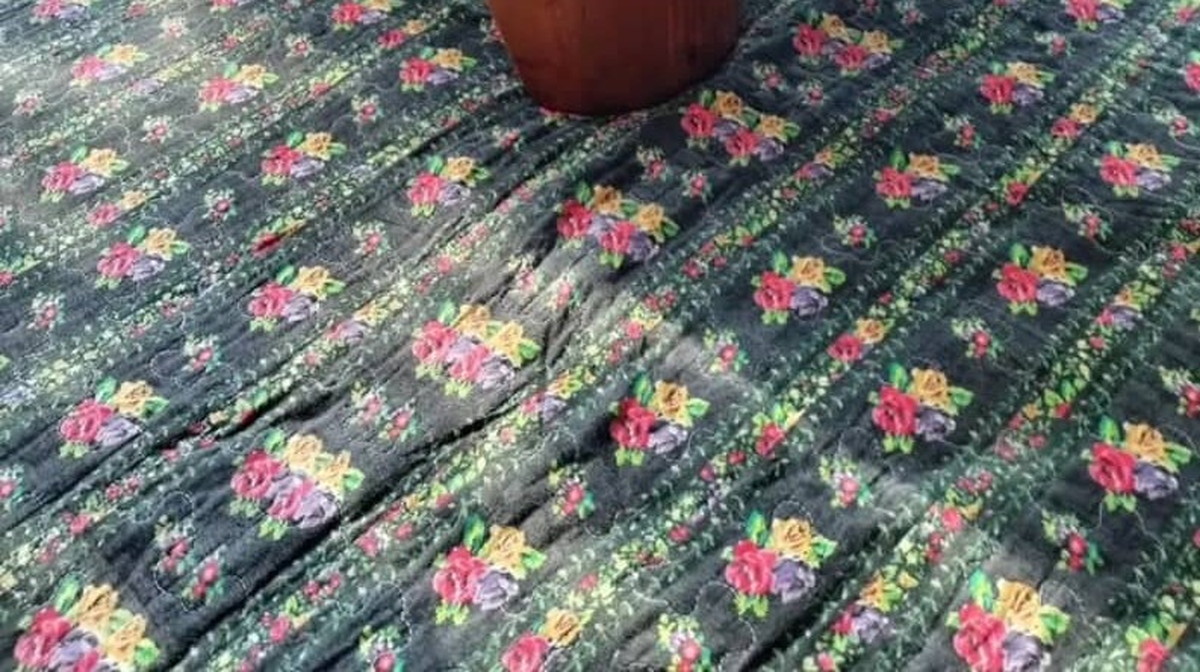 おしゃれな部屋に住む女性→800円で買って置いたのは……　“まさかのセンス”に「すっごく素敵」「ホントぴったりだ！」（1/3） | ライフスタイル ねとらぼ