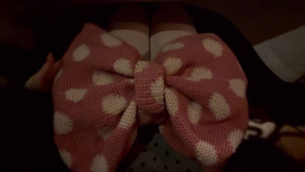 膝にのせてもキュート