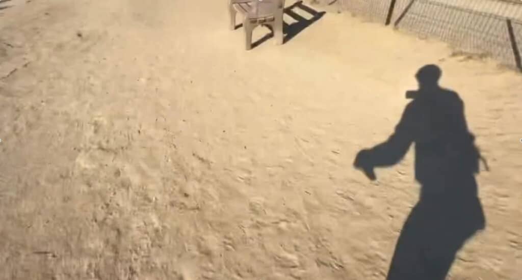 動画の冒頭にはパパさんの影が