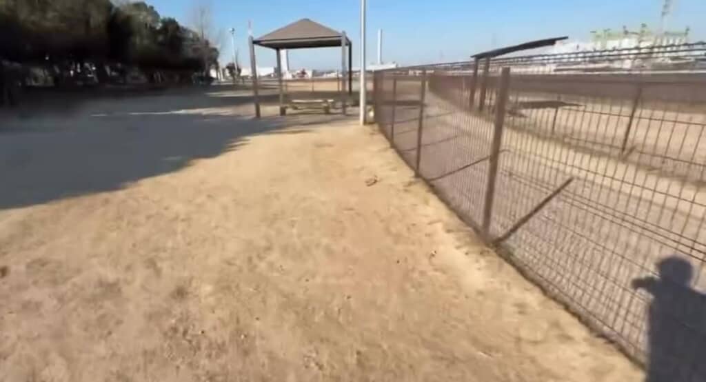 ワンコたちが見当たりません