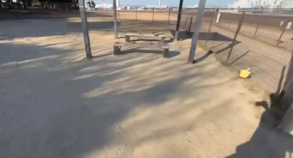 ベンチの辺りでようやくストップ